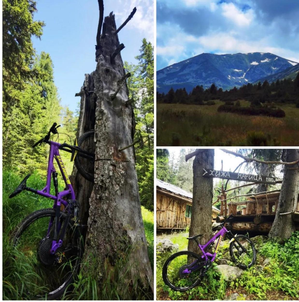 Arboro Borovets Gardens E43公寓 外观 照片