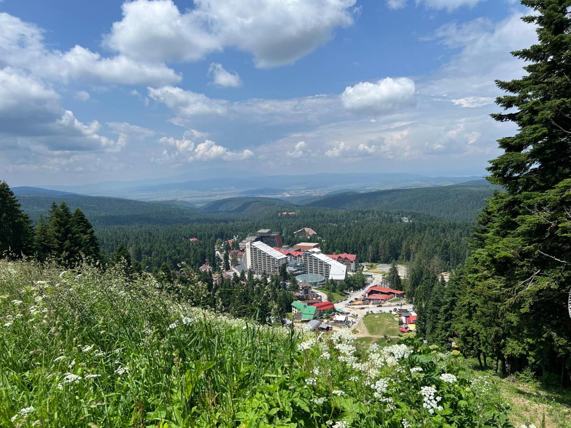 Arboro Borovets Gardens E43公寓 外观 照片