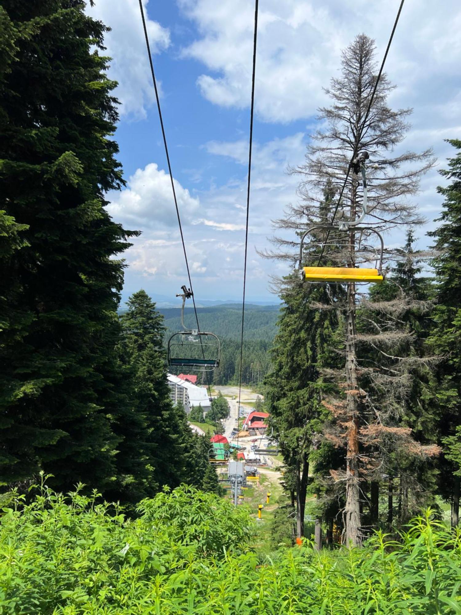 Arboro Borovets Gardens E43公寓 外观 照片